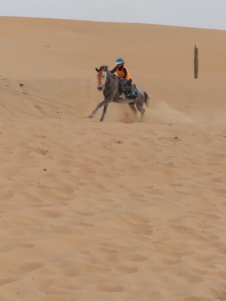 274156003_1000715160546154_9103044151280793855_n