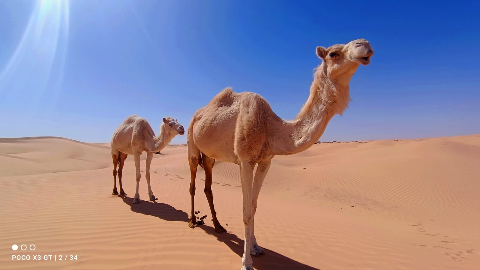 336297890_1384552195697131_3563512280906329089_n