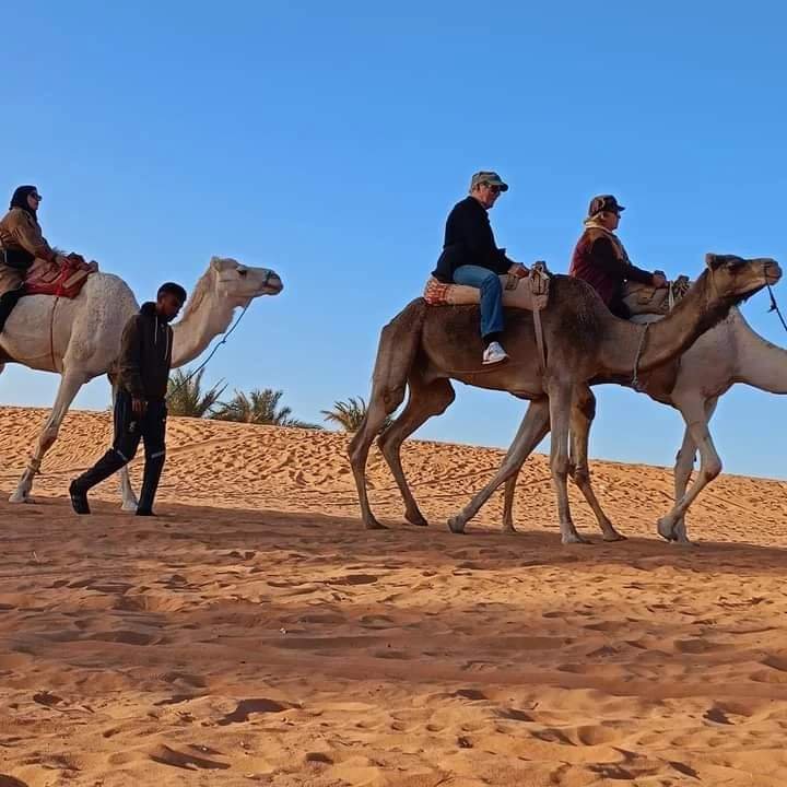 camel trekking Timimoun